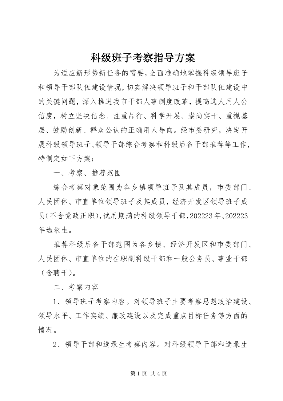 2023年科级班子考察指导方案.docx_第1页