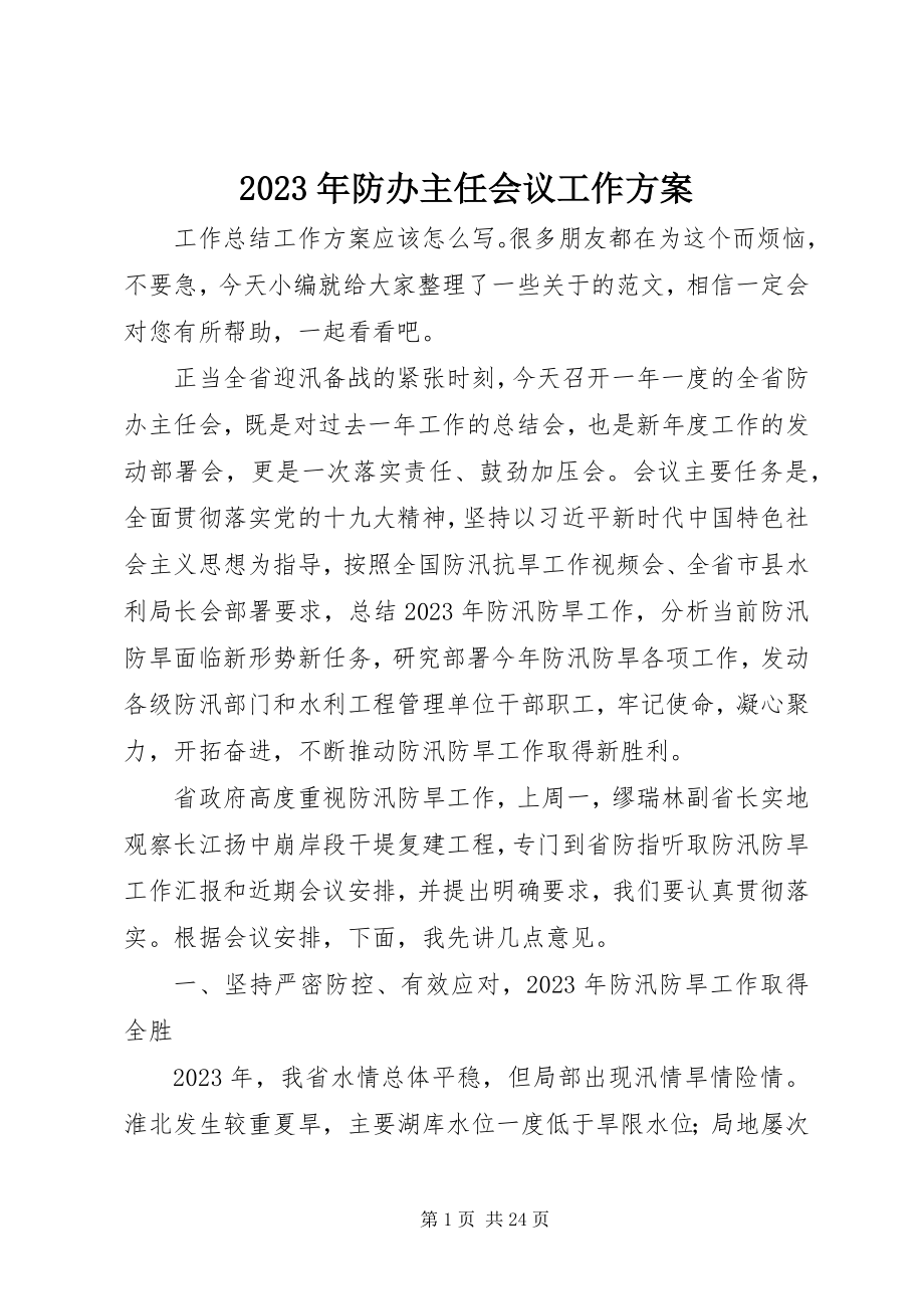 2023年防办主任会议工作计划.docx_第1页