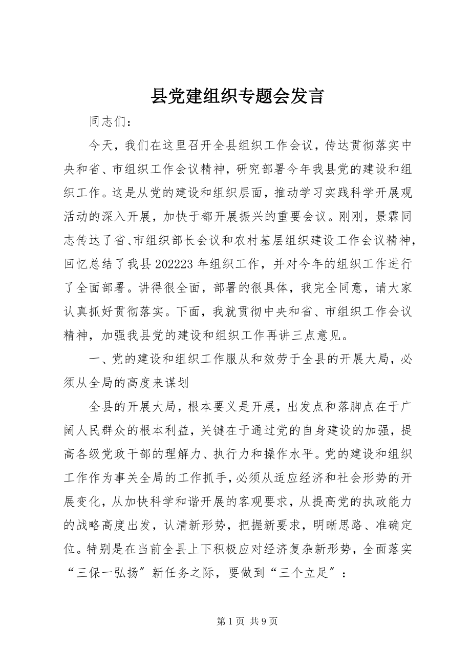 2023年县党建组织专题会讲话.docx_第1页