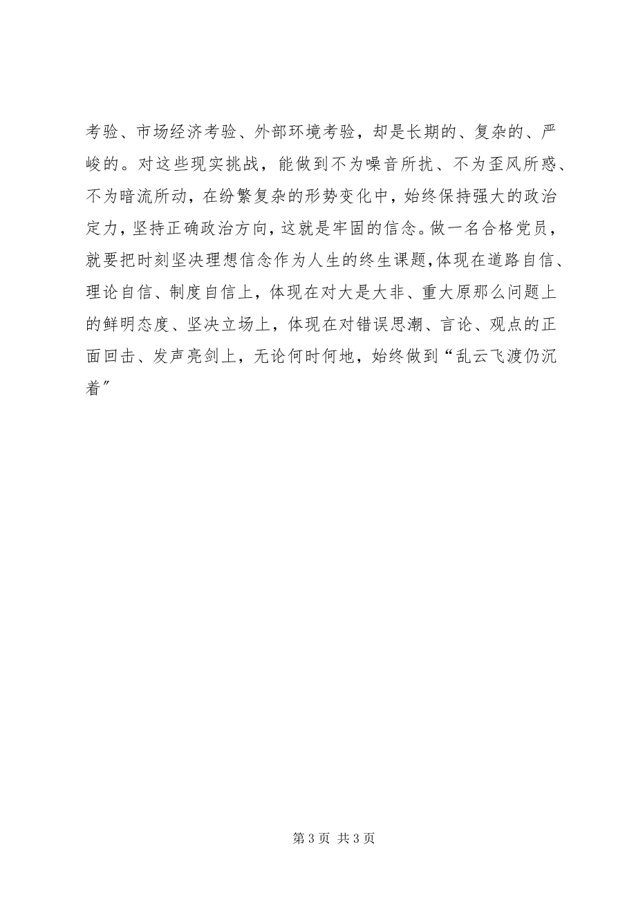 2023年讲政治有信念专题学习心得体会.docx_第3页