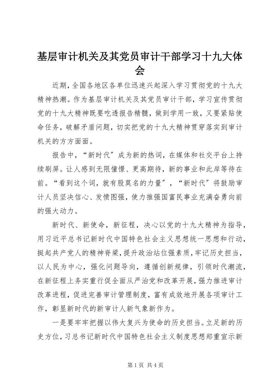 2023年基层审计机关及其党员审计干部学习十九大体会.docx_第1页