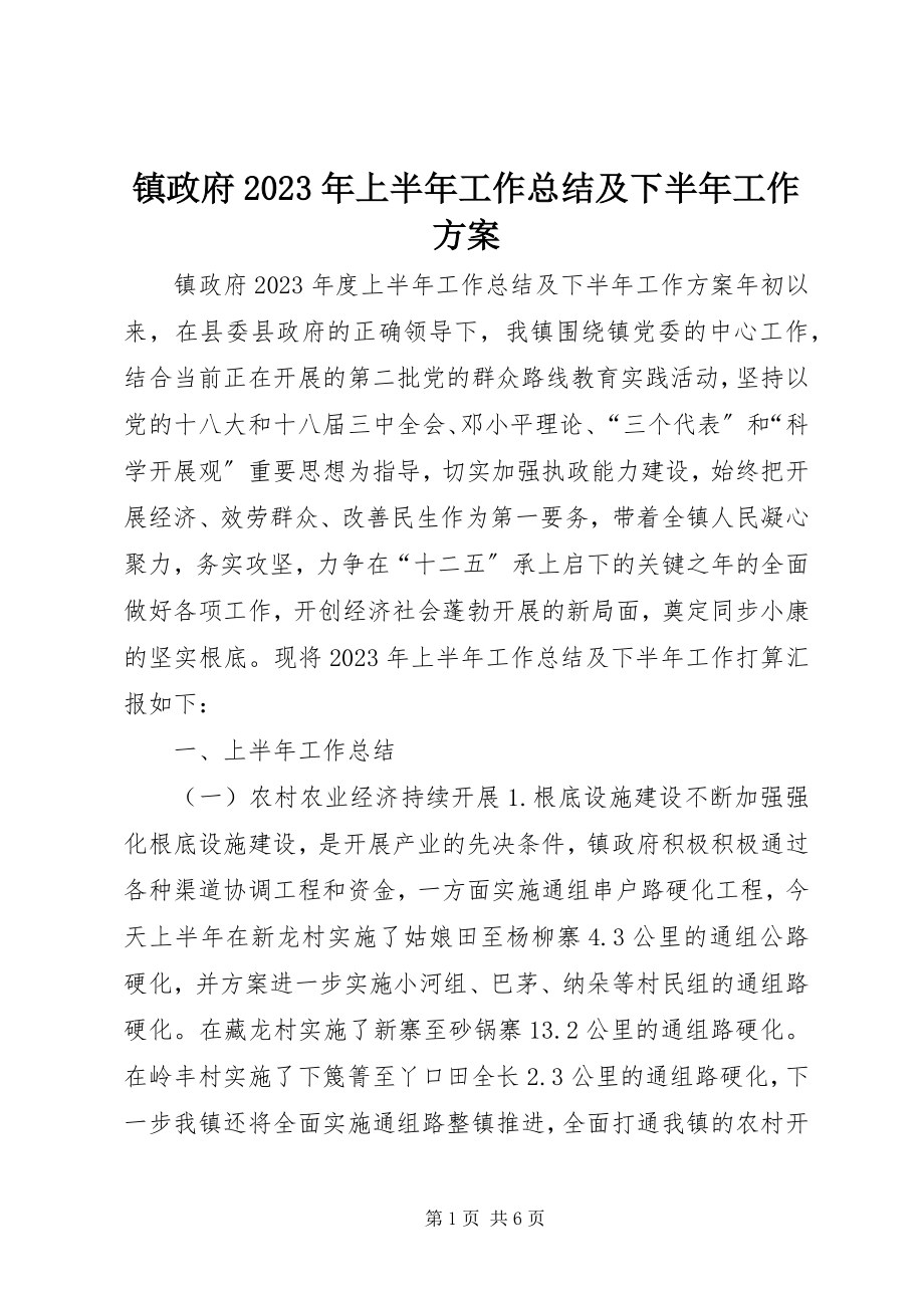 2023年镇政府上半年工作总结及下半年工作计划2.docx_第1页