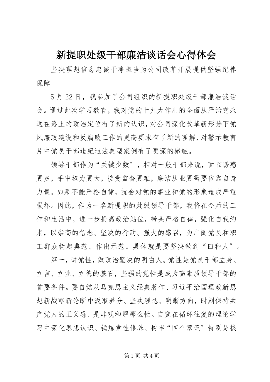 2023年新提职处级干部廉洁谈话会心得体会.docx_第1页