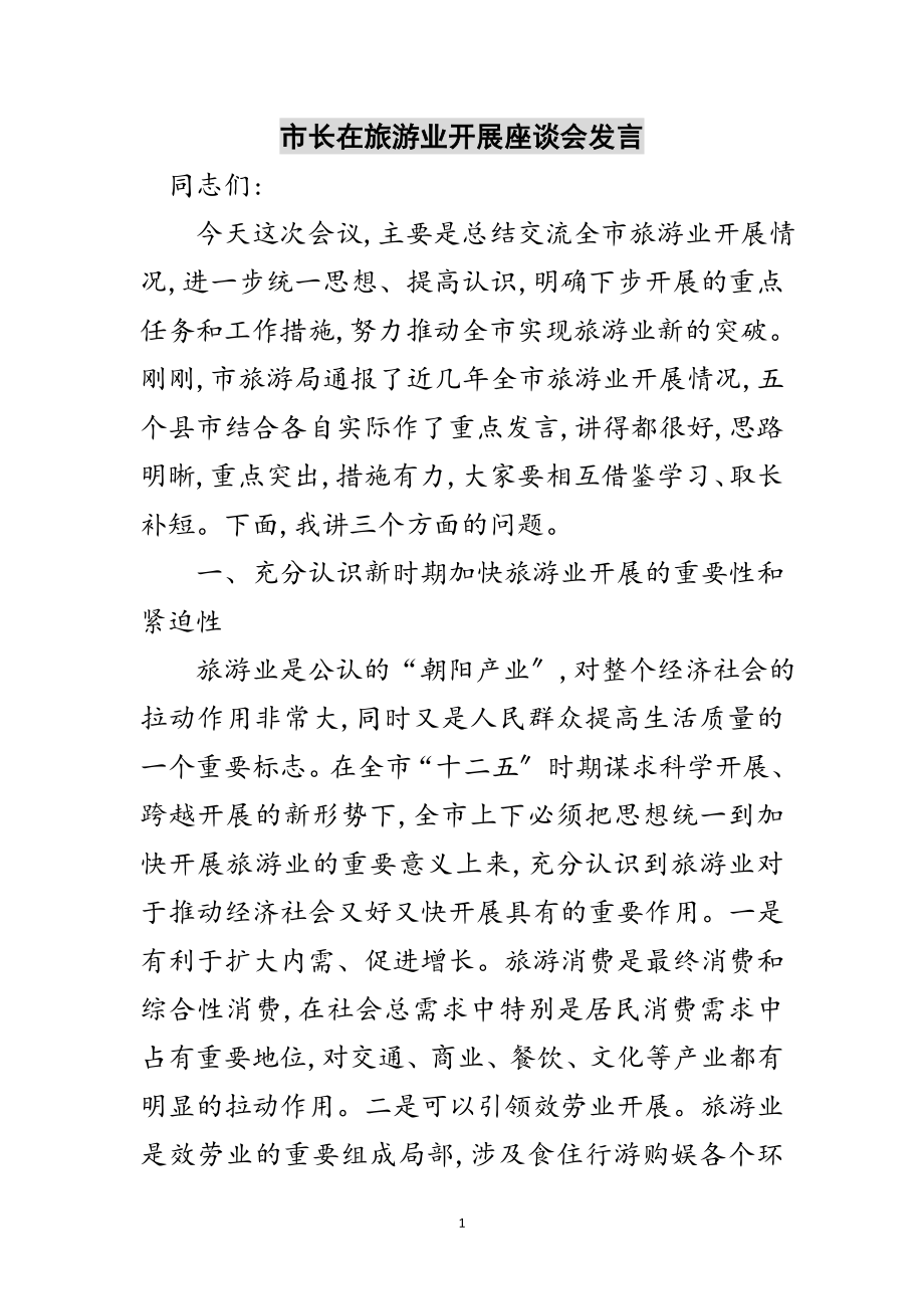 2023年市长在旅游业发展座谈会发言范文.doc_第1页