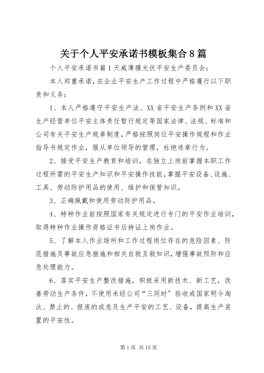 2023年个人安全承诺书模板集合8篇.docx_第1页