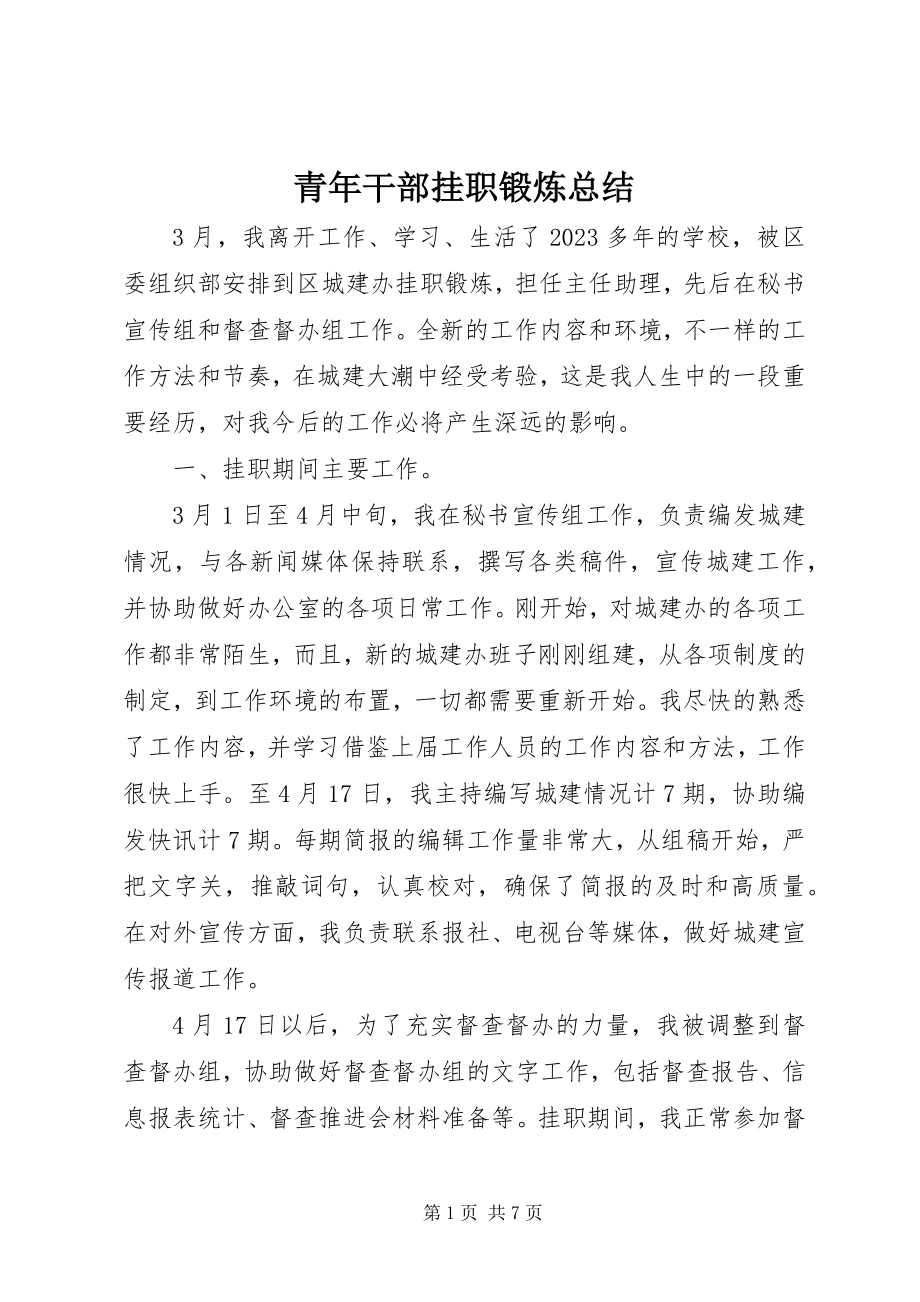 2023年青年干部挂职锻炼总结.docx_第1页