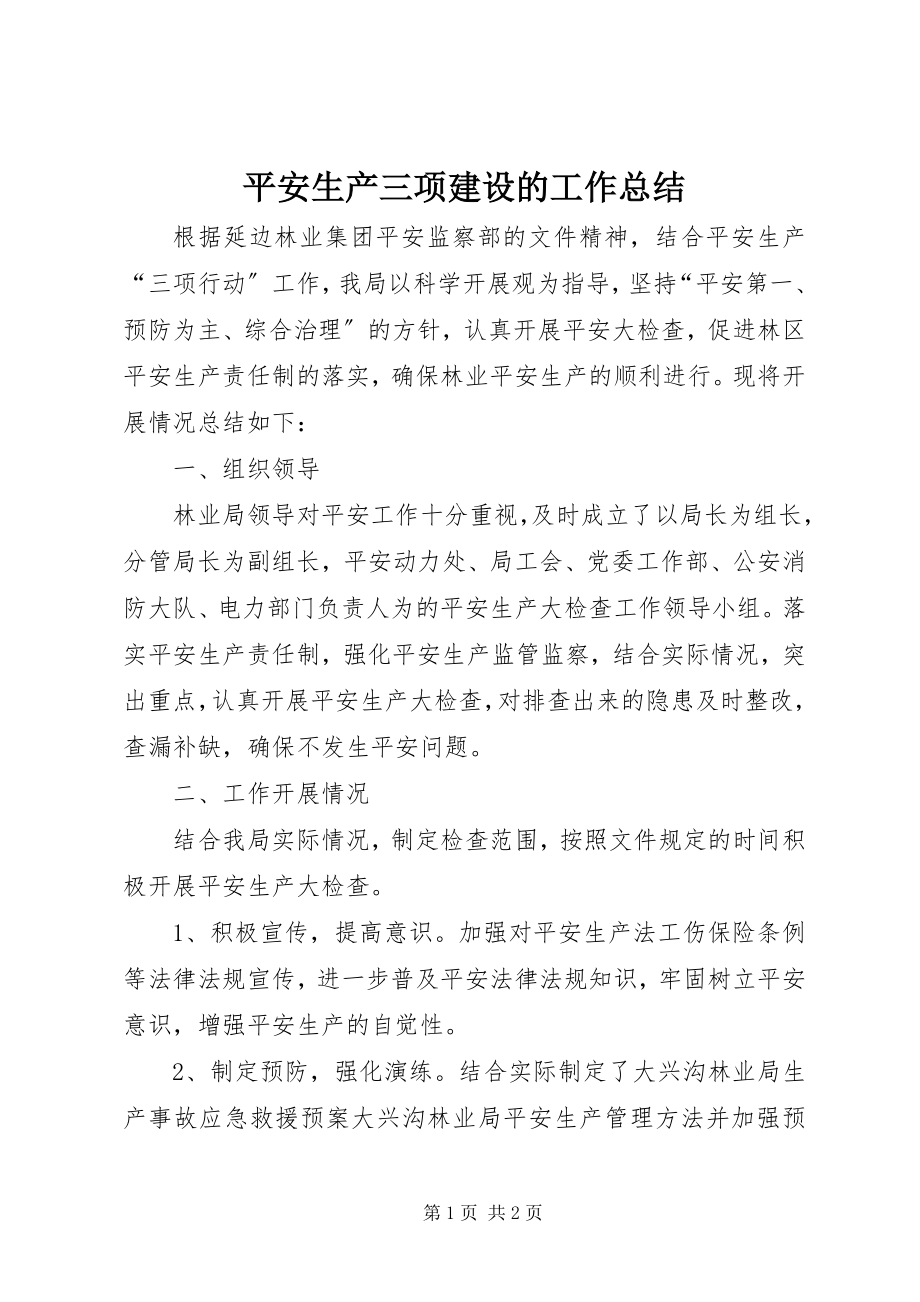 2023年安全生产三项建设的工作总结新编.docx_第1页