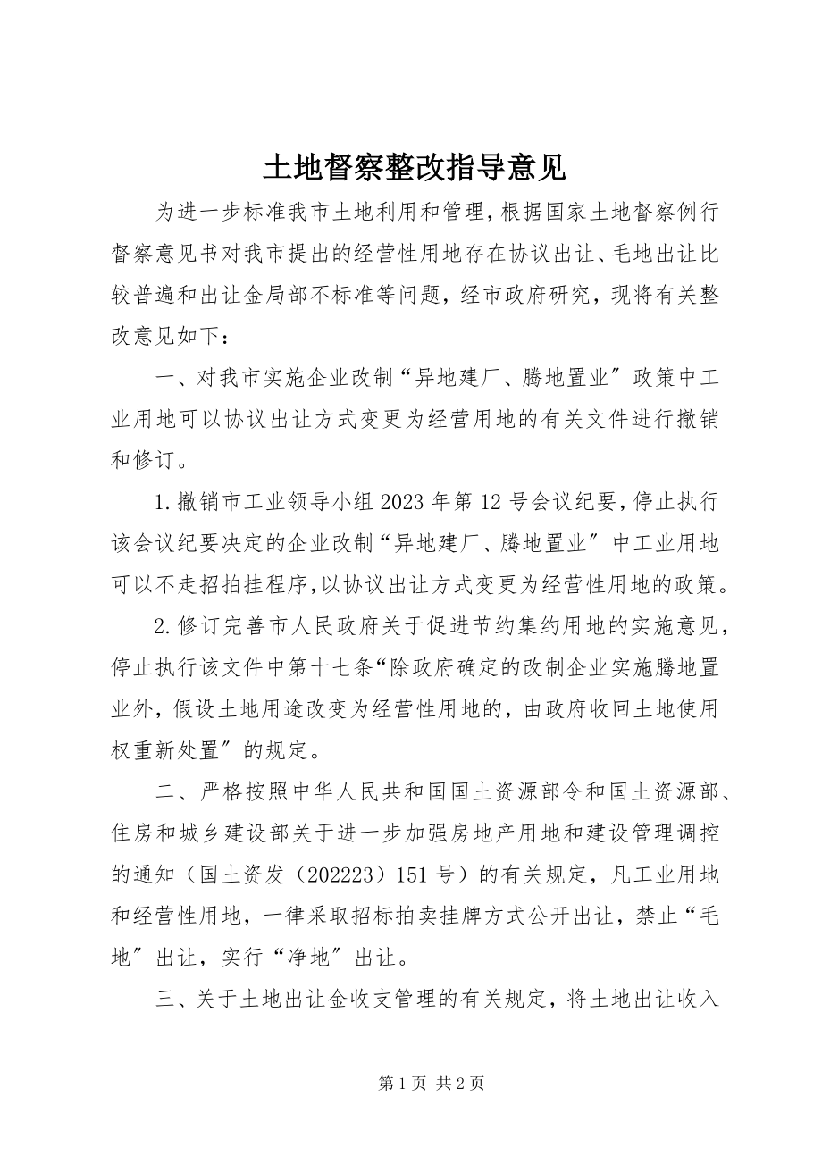 2023年土地督察整改指导意见.docx_第1页