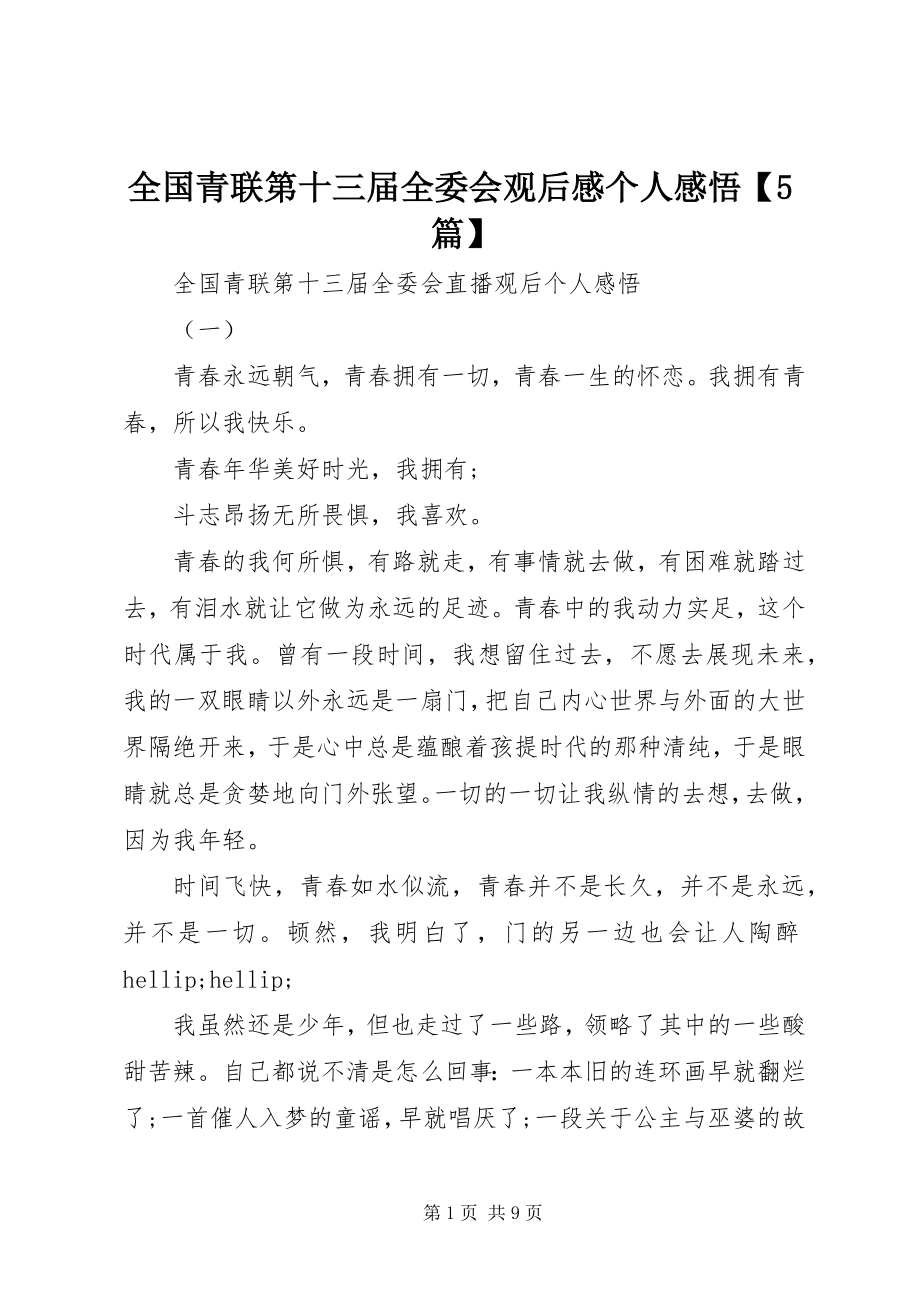 2023年全国青联第十三届全委会观后感个人感悟5篇.docx_第1页