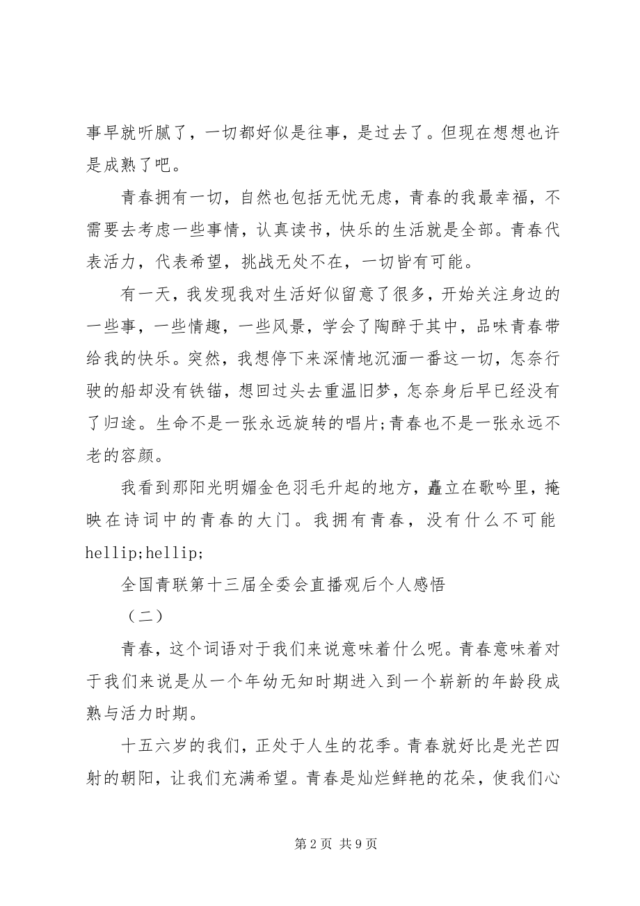 2023年全国青联第十三届全委会观后感个人感悟5篇.docx_第2页