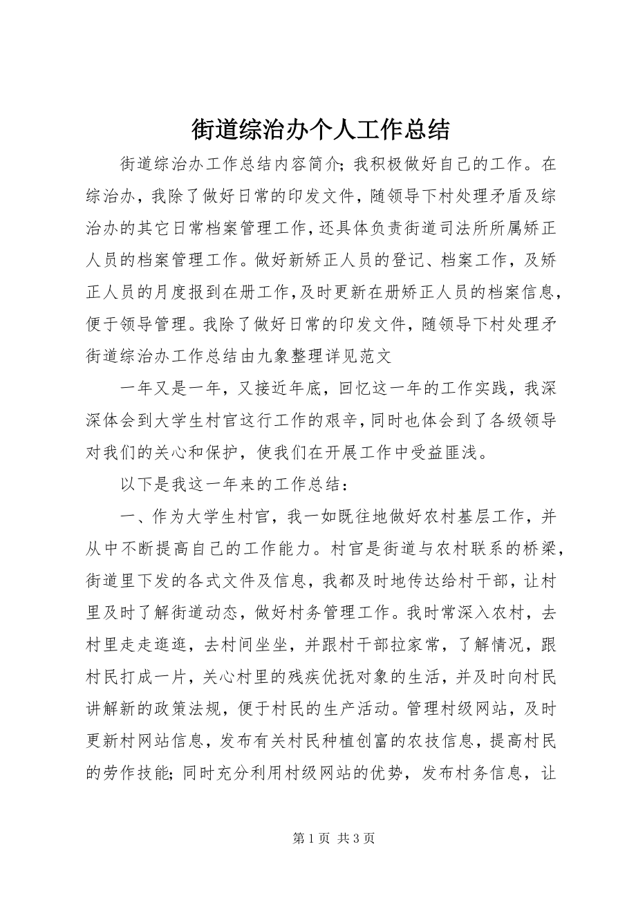 2023年街道综治办个人工作总结.docx_第1页