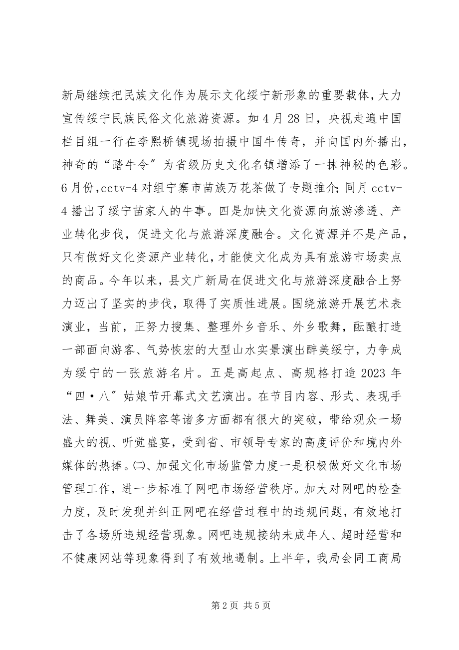 2023年乡镇上半年文广新工作总结.docx_第2页