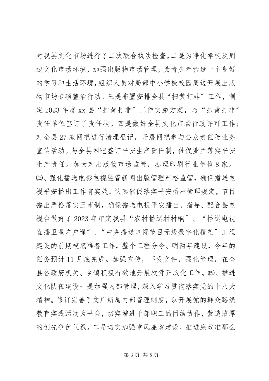 2023年乡镇上半年文广新工作总结.docx_第3页