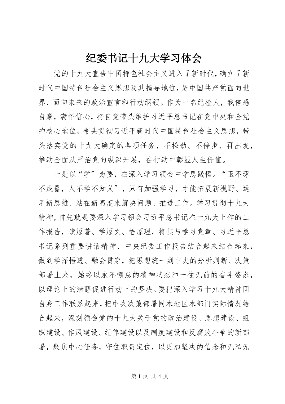 2023年纪委书记十九大学习体会.docx_第1页