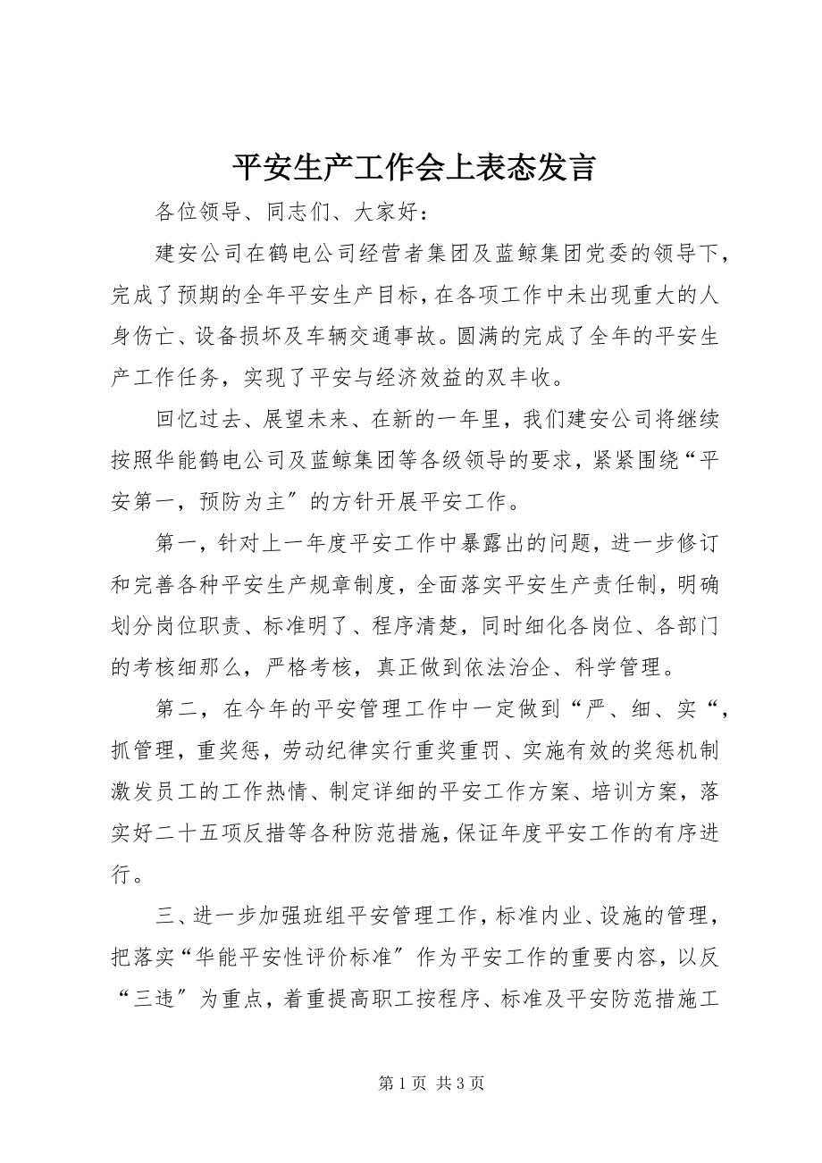 2023年安全生产工作会上表态讲话新编.docx_第1页