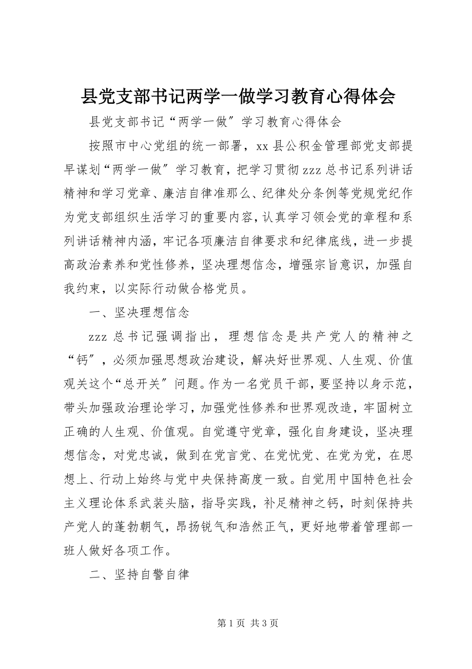 2023年县党支部书记两学一做学习教育心得体会.docx_第1页