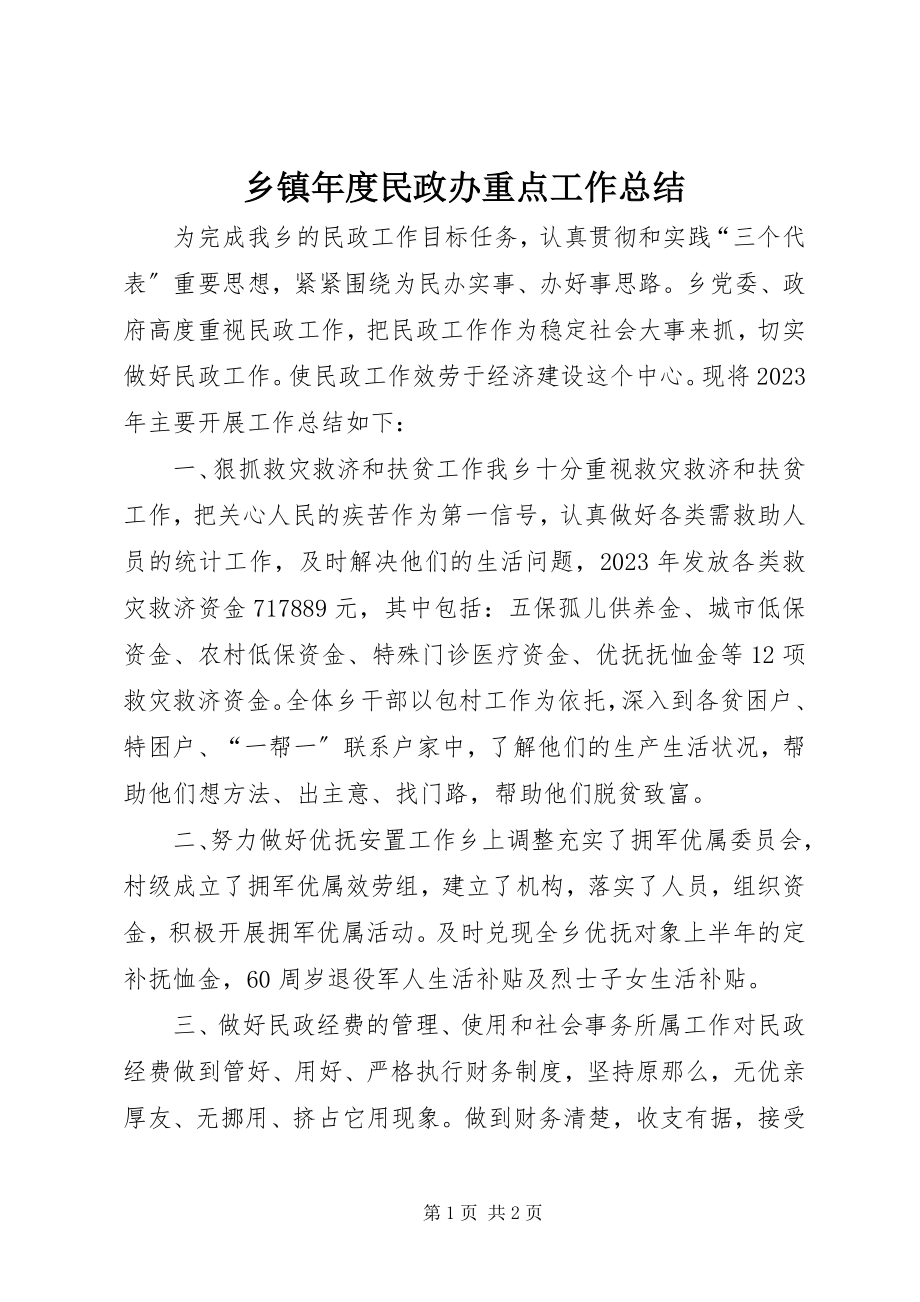 2023年乡镇年度民政办重点工作总结.docx_第1页