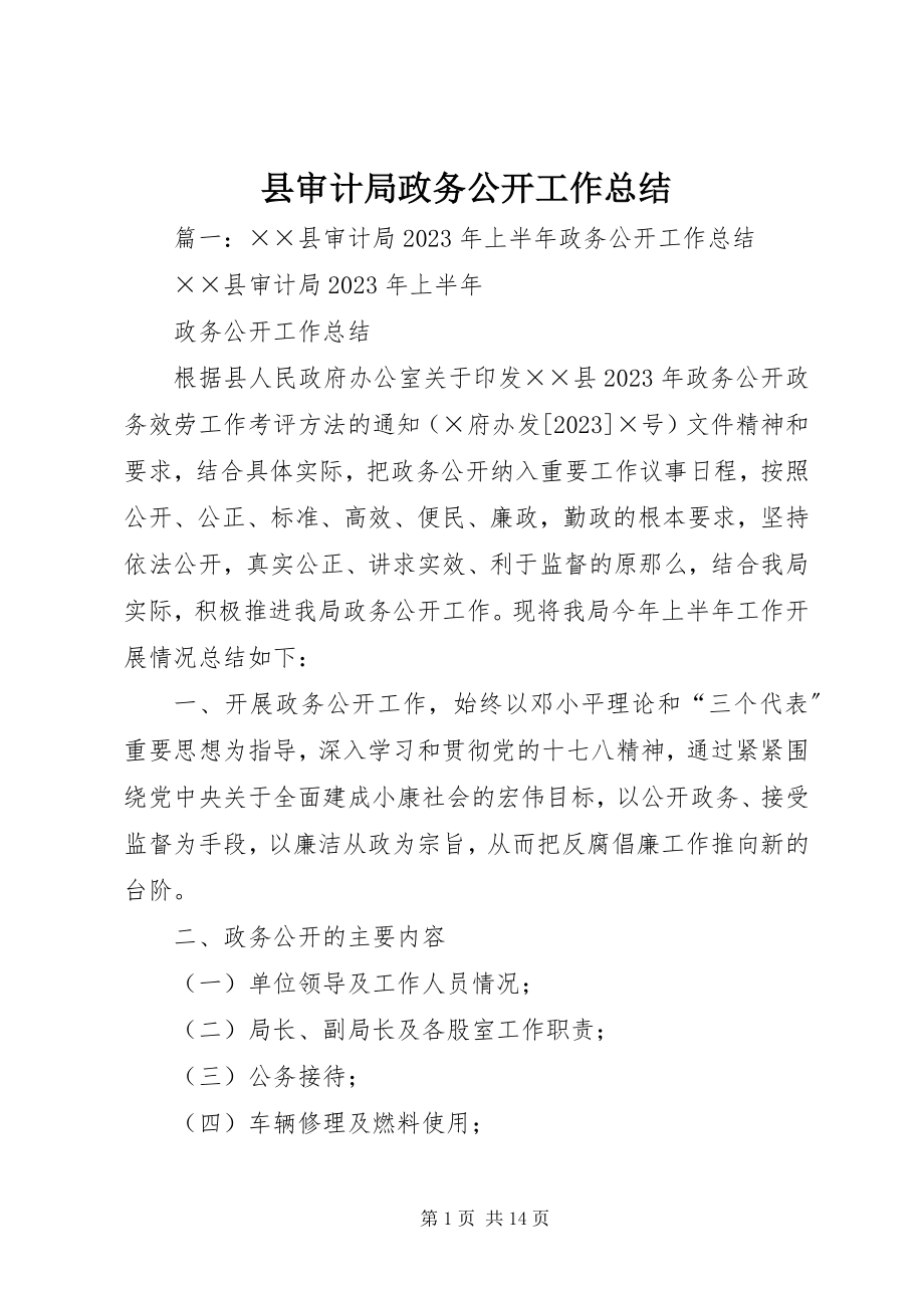 2023年县审计局政务公开工作总结.docx_第1页