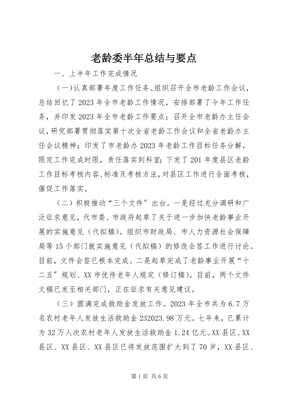 2023年老龄委半总结与要点.docx_第1页