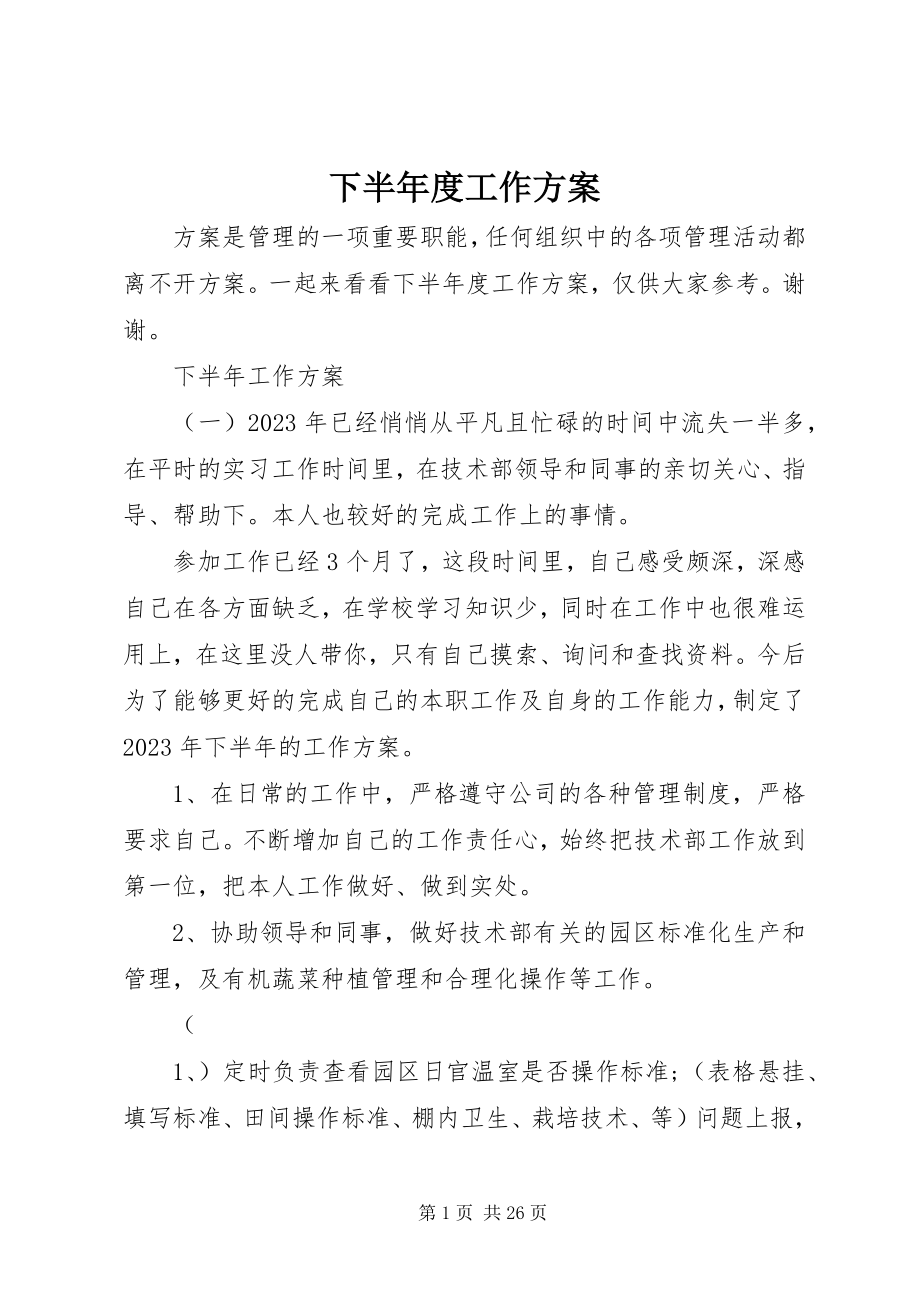 2023年下半年度工作计划.docx_第1页