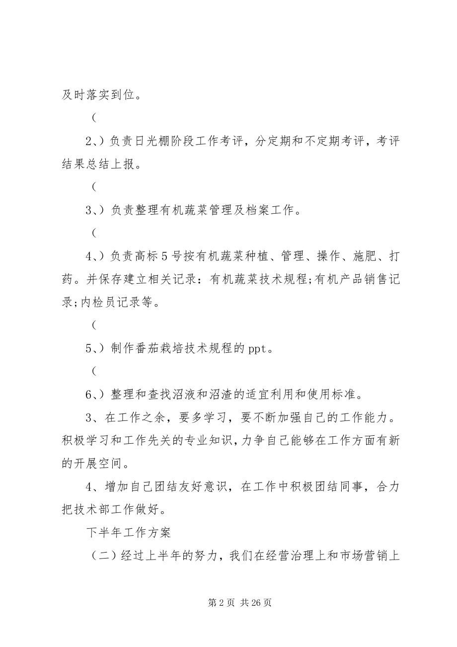 2023年下半年度工作计划.docx_第2页