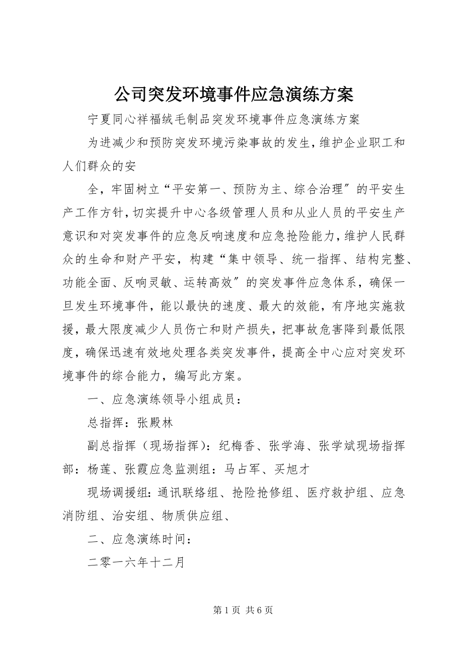 2023年公司突发环境事件应急演练方案.docx_第1页