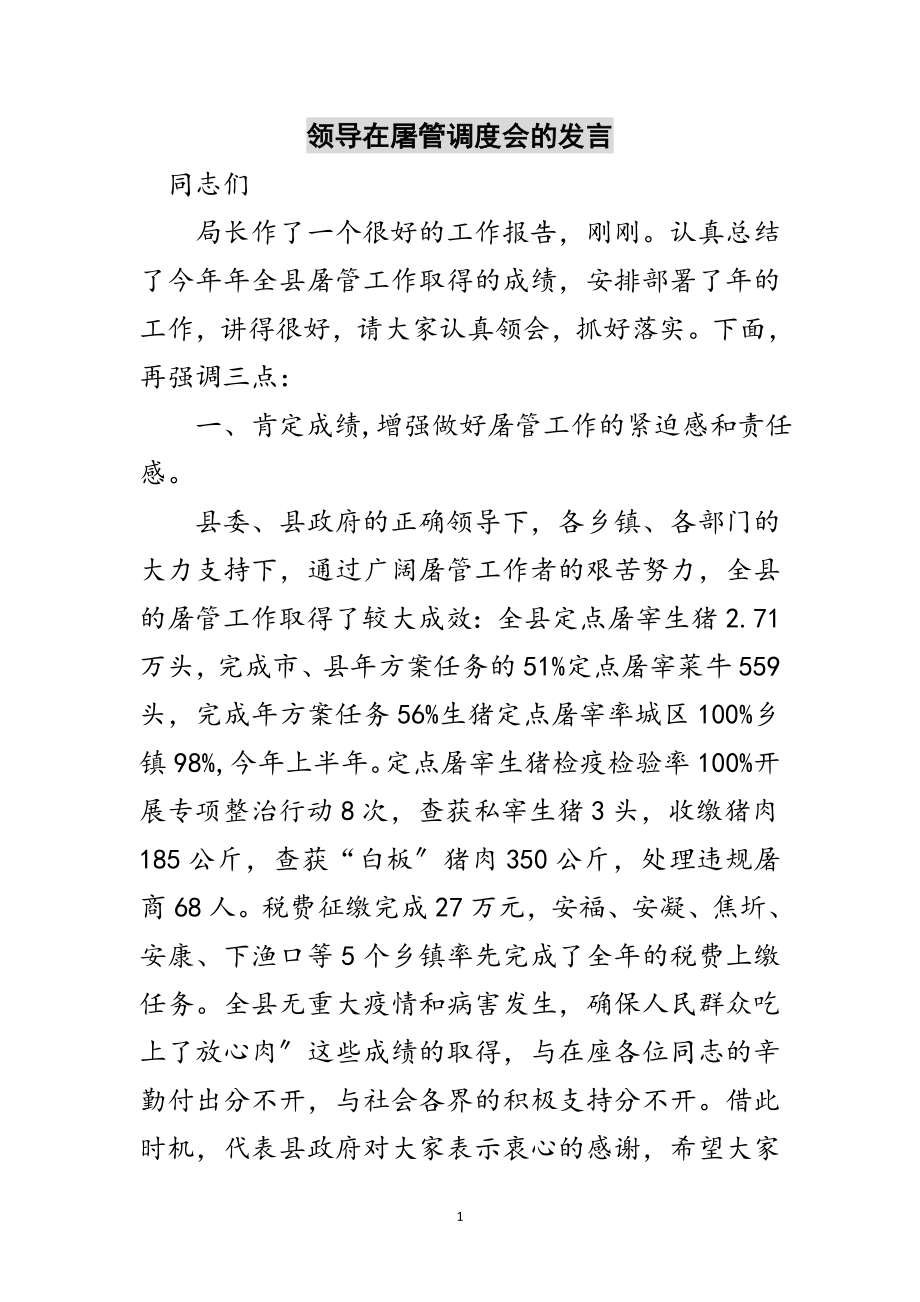 2023年领导在屠管调度会的发言范文.doc_第1页