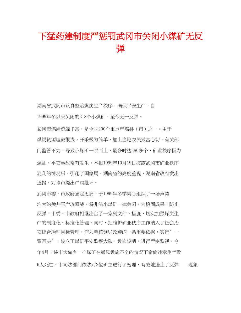 2023年《安全管理》之下猛药建制度严惩处武冈市关闭小煤矿无反弹.docx_第1页