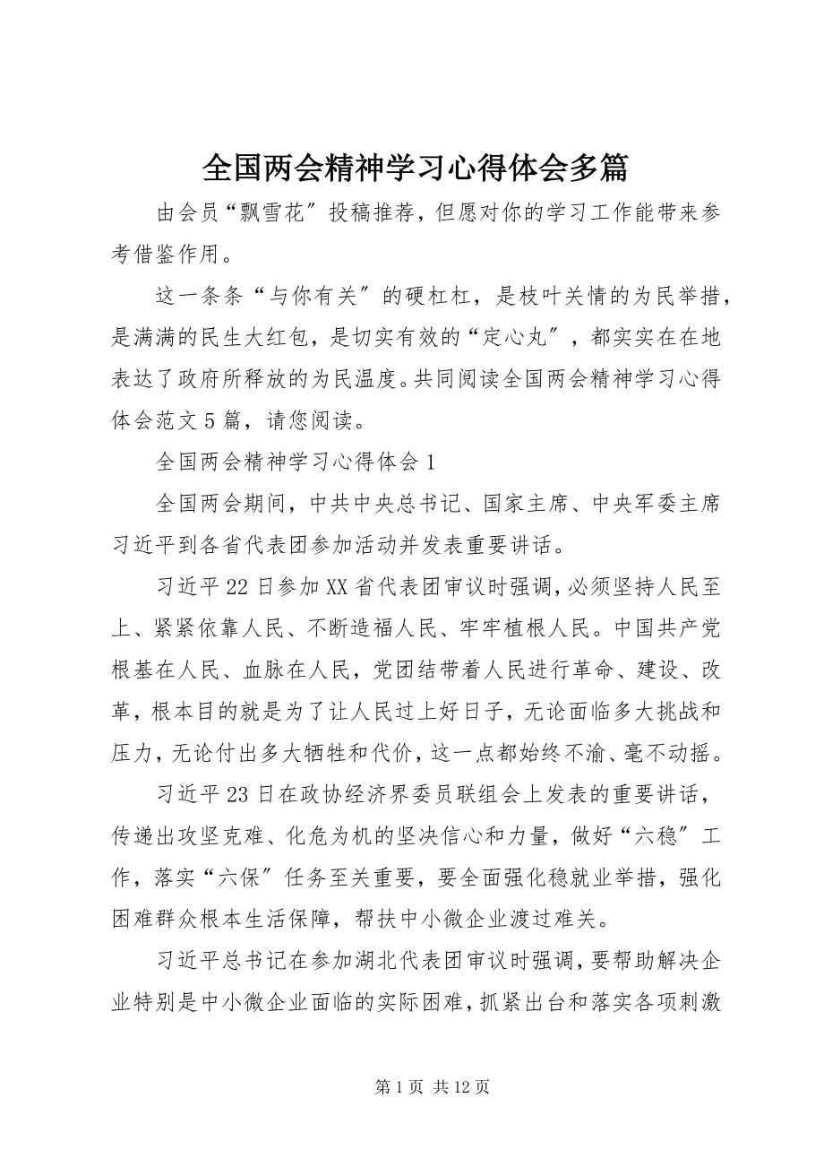 2023年全国两会精神学习心得体会多篇.docx_第1页