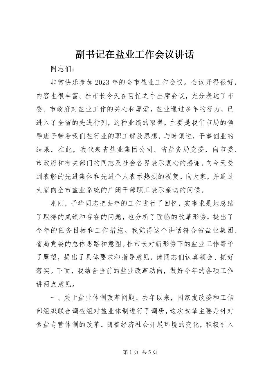 2023年副书记在盐业工作会议致辞.docx_第1页