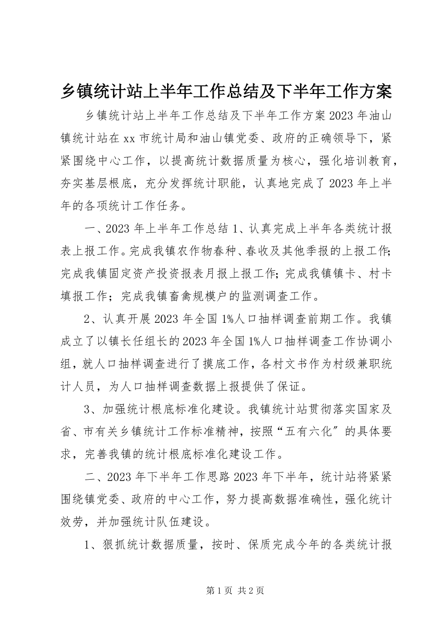 2023年乡镇统计站上半年工作总结及下半年工作计划.docx_第1页