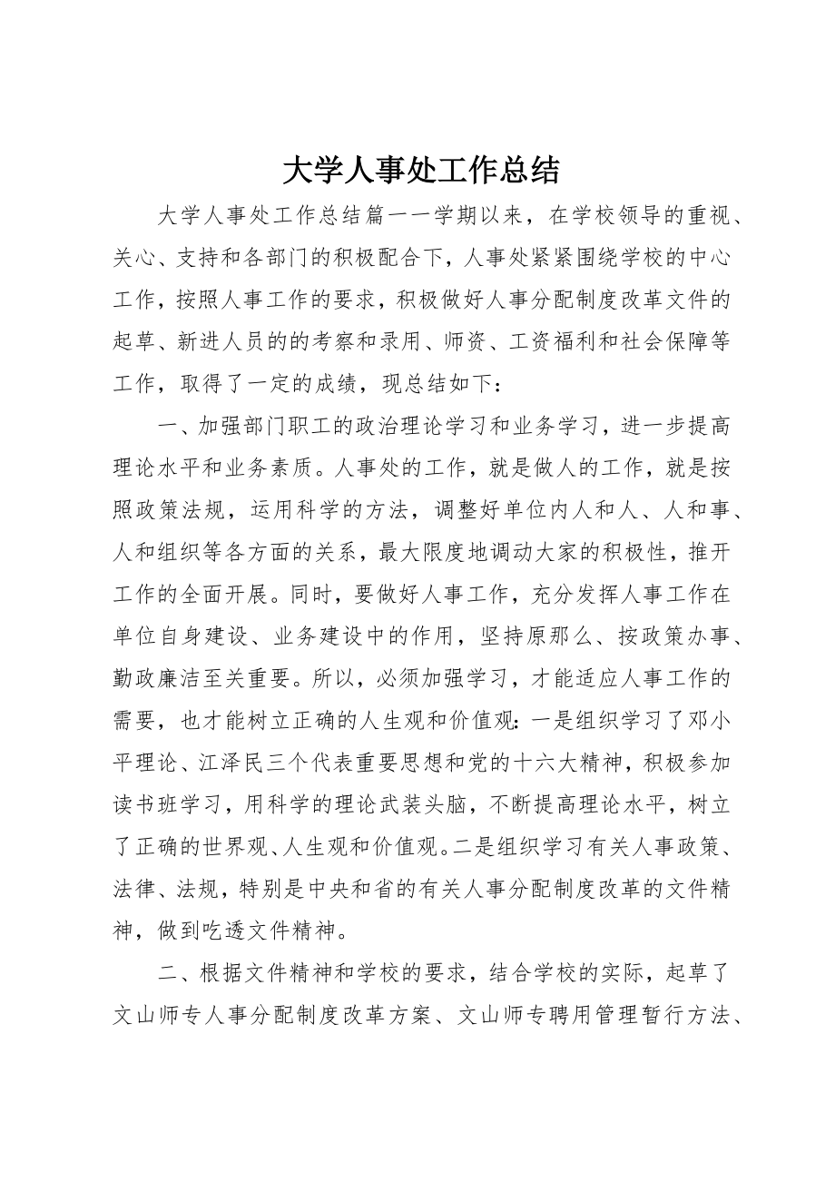 2023年大学人事处工作总结.docx_第1页