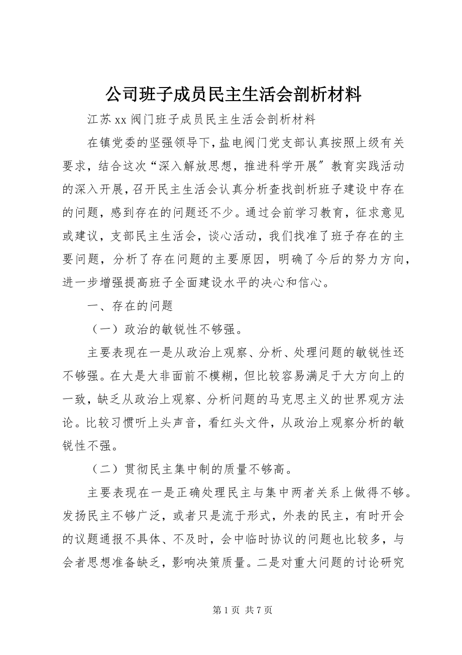 2023年公司班子成员民主生活会剖析材料.docx_第1页