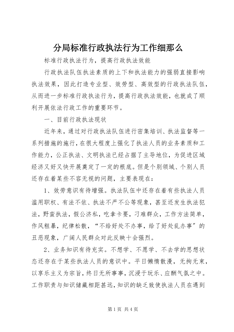 2023年分局规范行政执法行为工作细则.docx_第1页