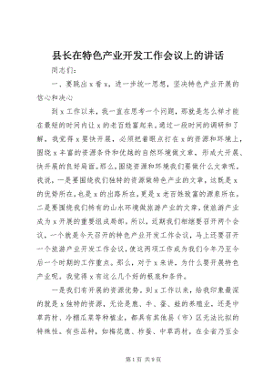 2023年县长在特色产业开发工作会议上的致辞.docx