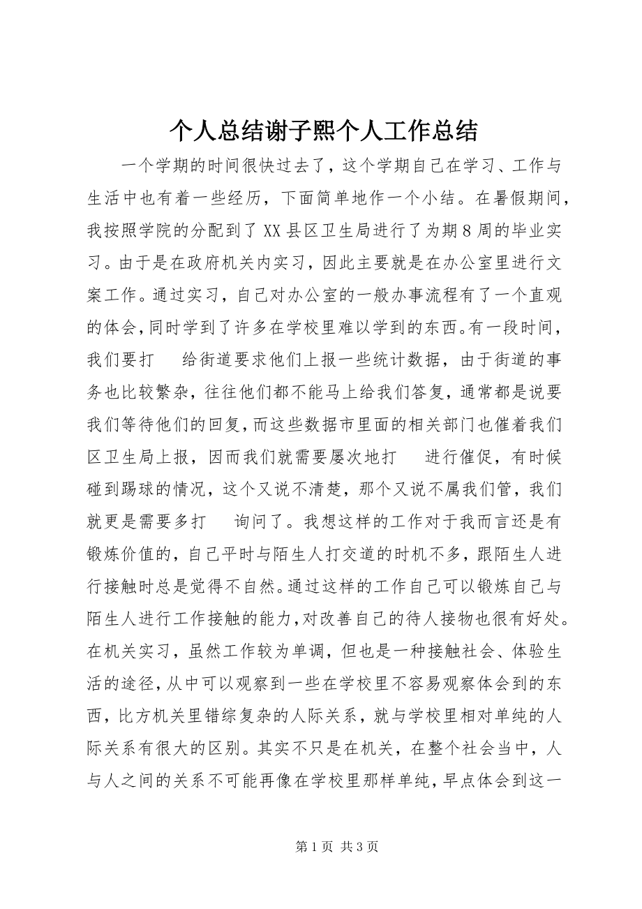 2023年个人总结谢子熙个人工作总结.docx_第1页