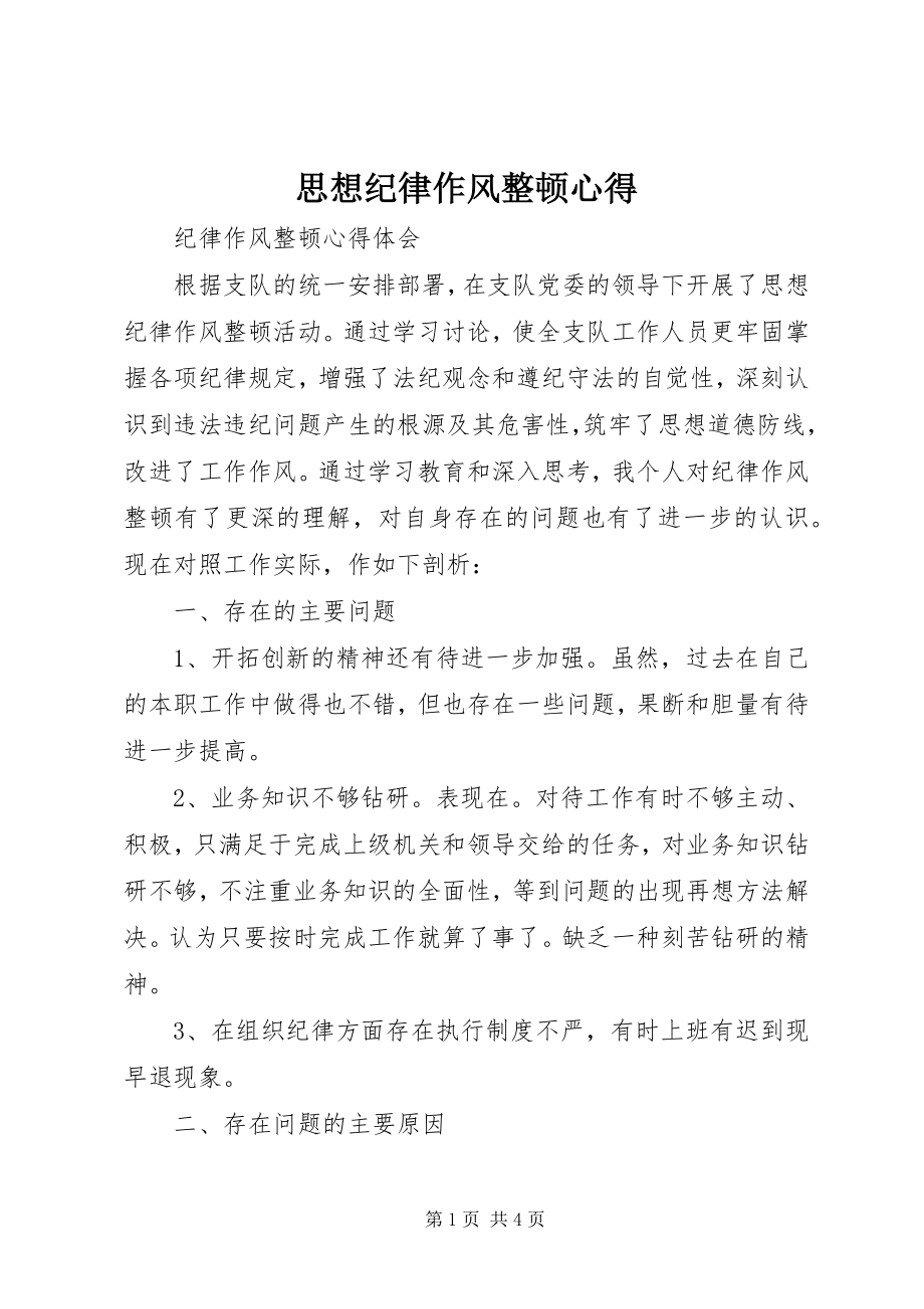 2023年思想纪律作风整顿心得.docx_第1页