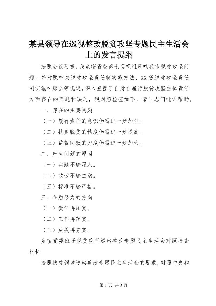 2023年xx县领导在巡视整改脱贫攻坚专题民主生活会上的讲话提纲.docx_第1页