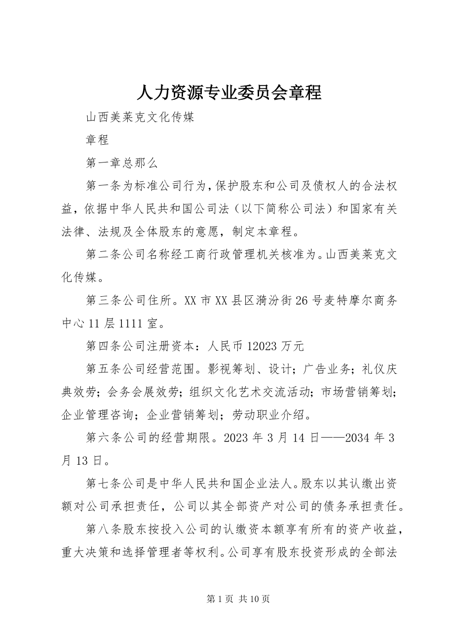 2023年人力资源专业委员会章程.docx_第1页