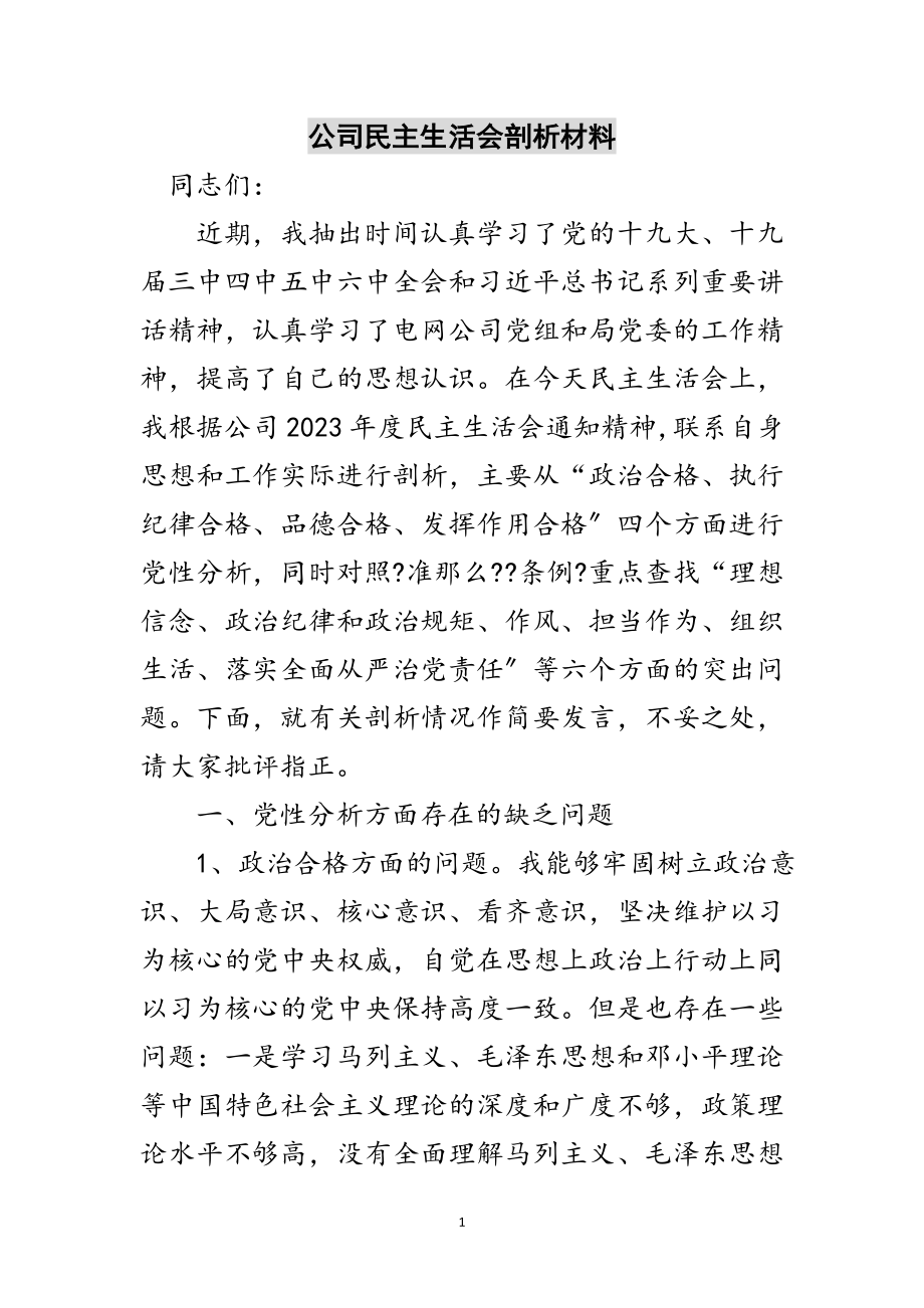 2023年公司民主生活会剖析材料范文.doc_第1页