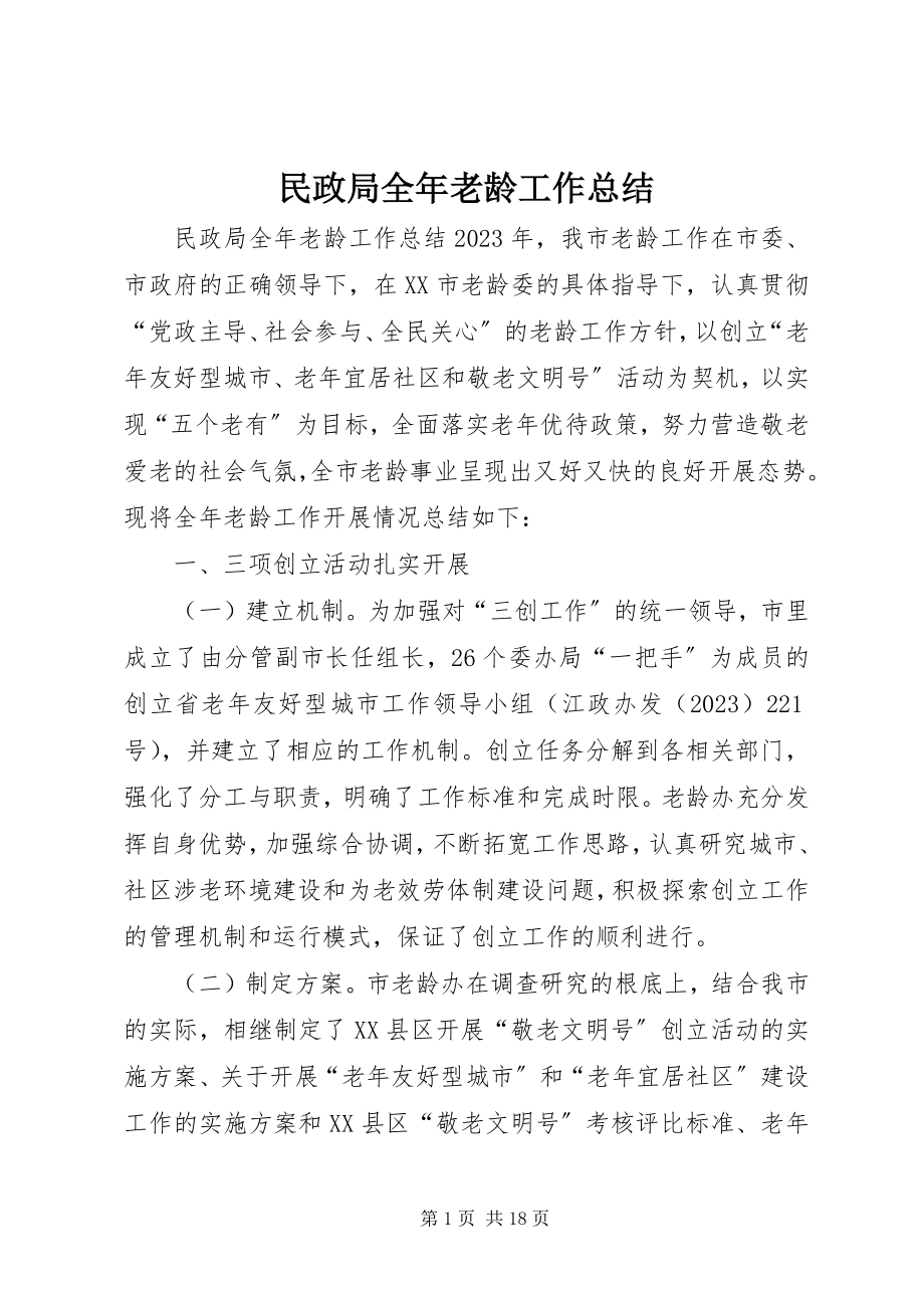 2023年民政局全老龄工作总结.docx_第1页