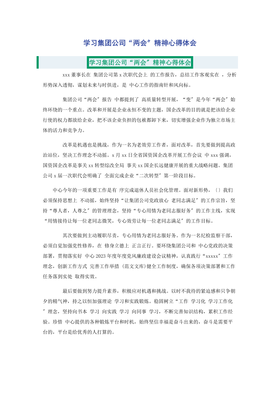 2023年学习集团公司“两会”精神心得体会.docx_第1页