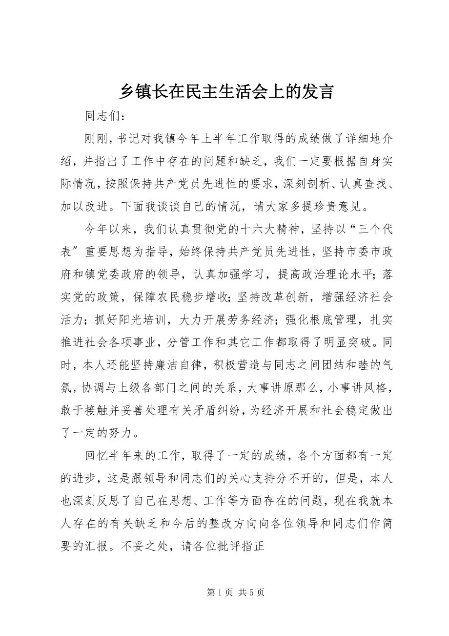 2023年乡镇长在民主生活会上的讲话.docx_第1页