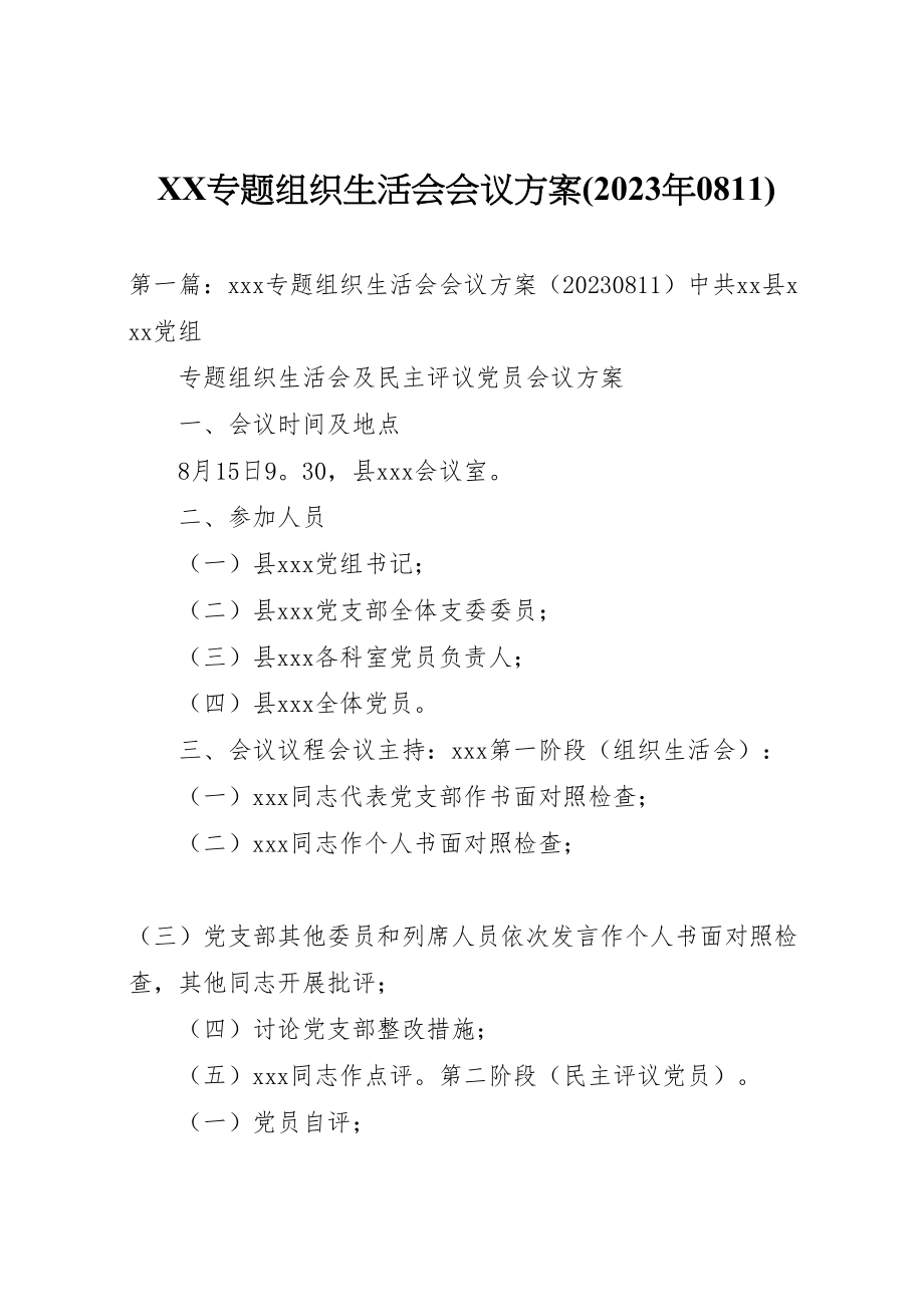 2023年专题组织生活会会议方案.doc_第1页