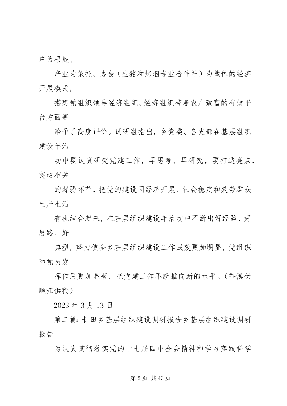 2023年区基层组织建设调研组来我乡开调研.docx_第2页