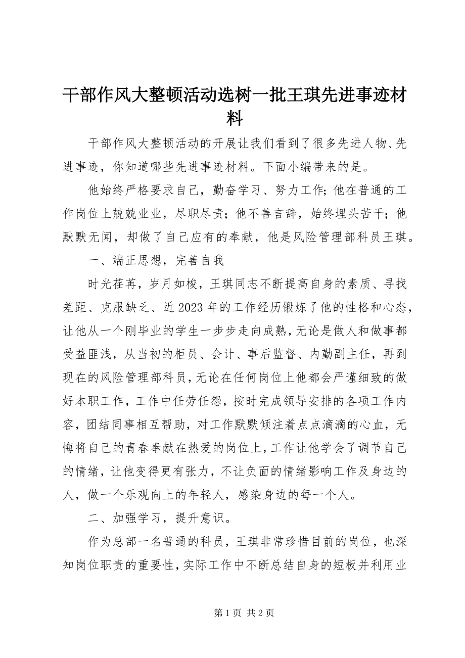 2023年干部作风大整顿活动选树一批王琪先进事迹材料.docx_第1页