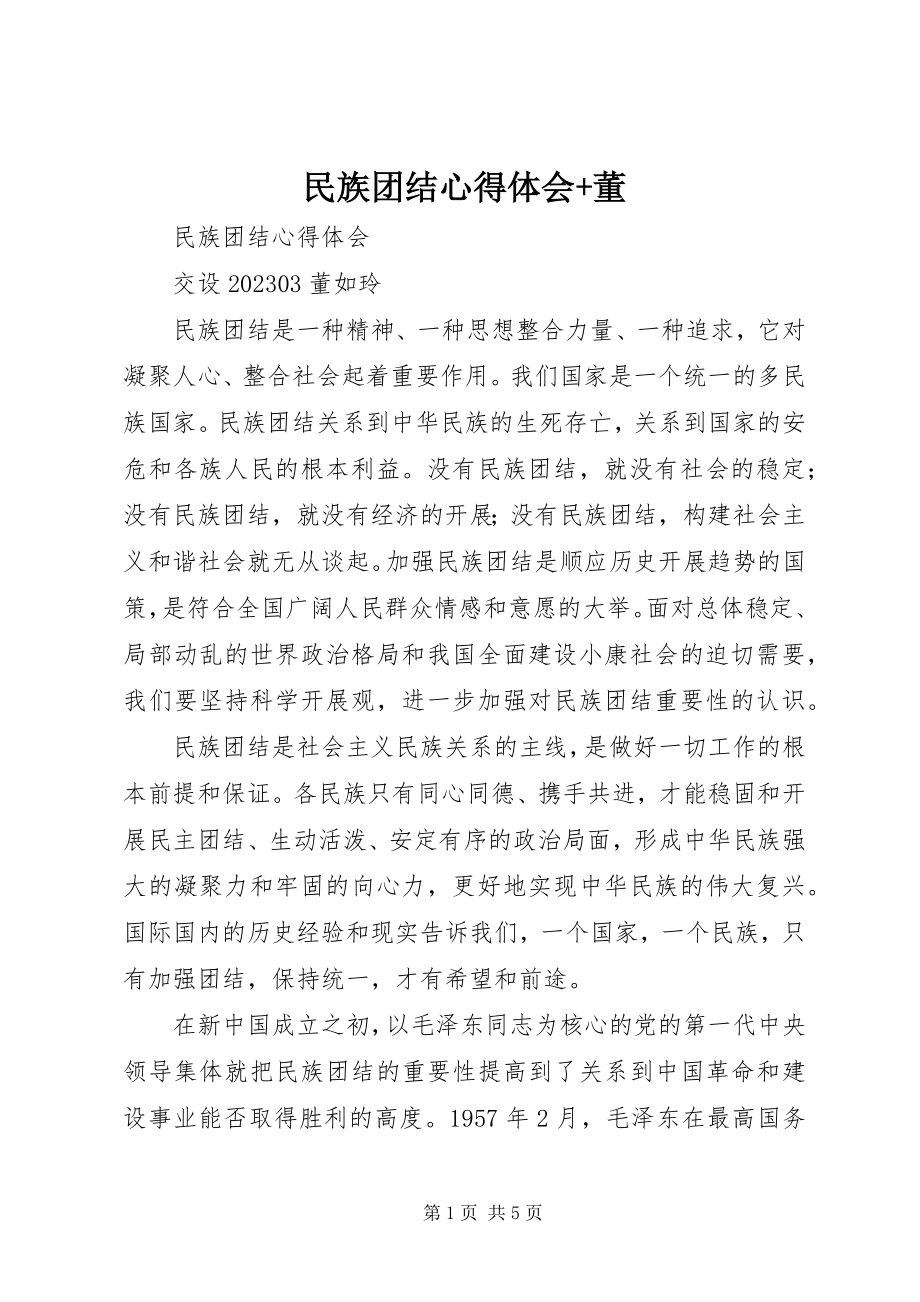 2023年民族团结心得体会董.docx_第1页