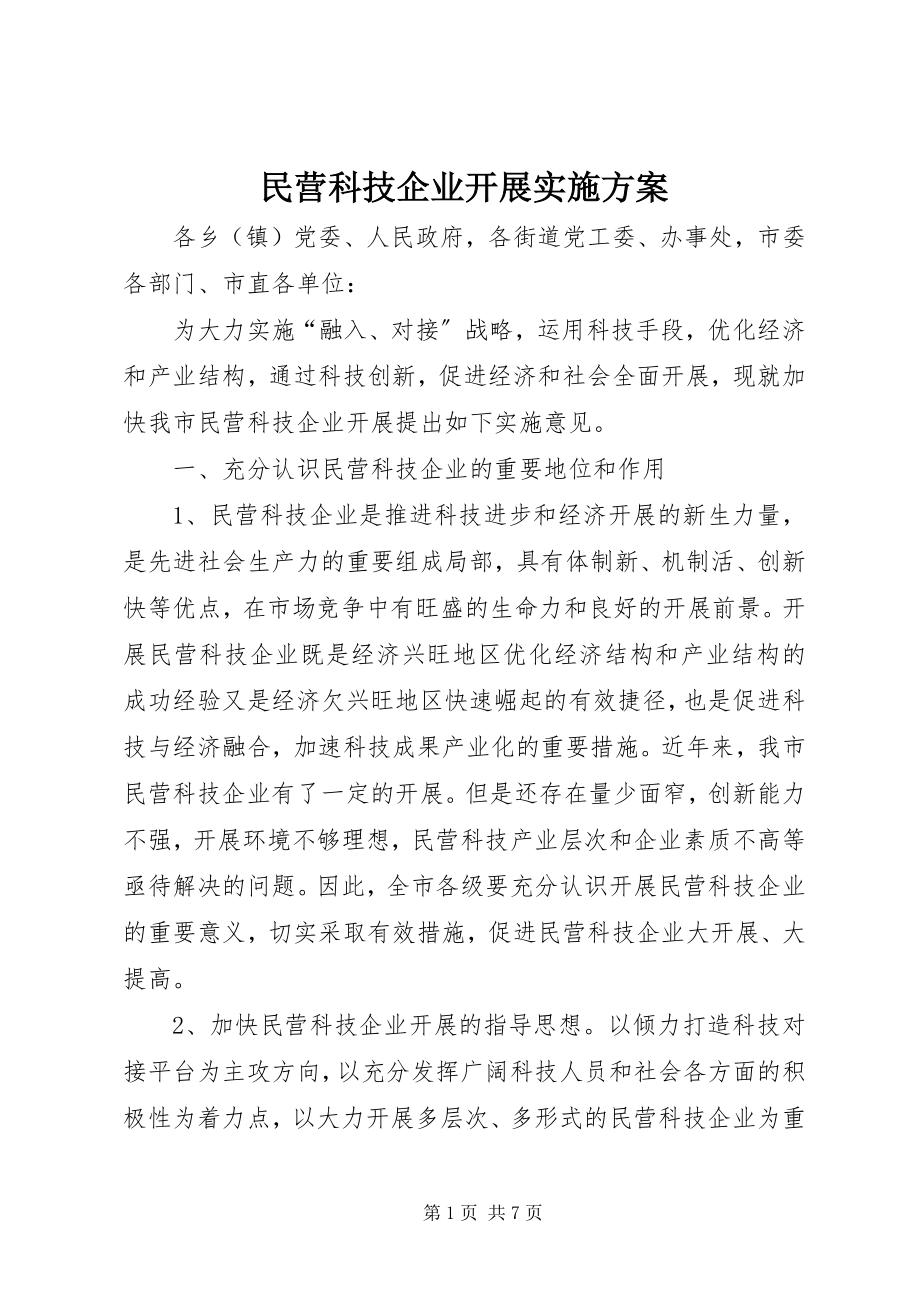 2023年民营科技企业发展实施方案.docx_第1页