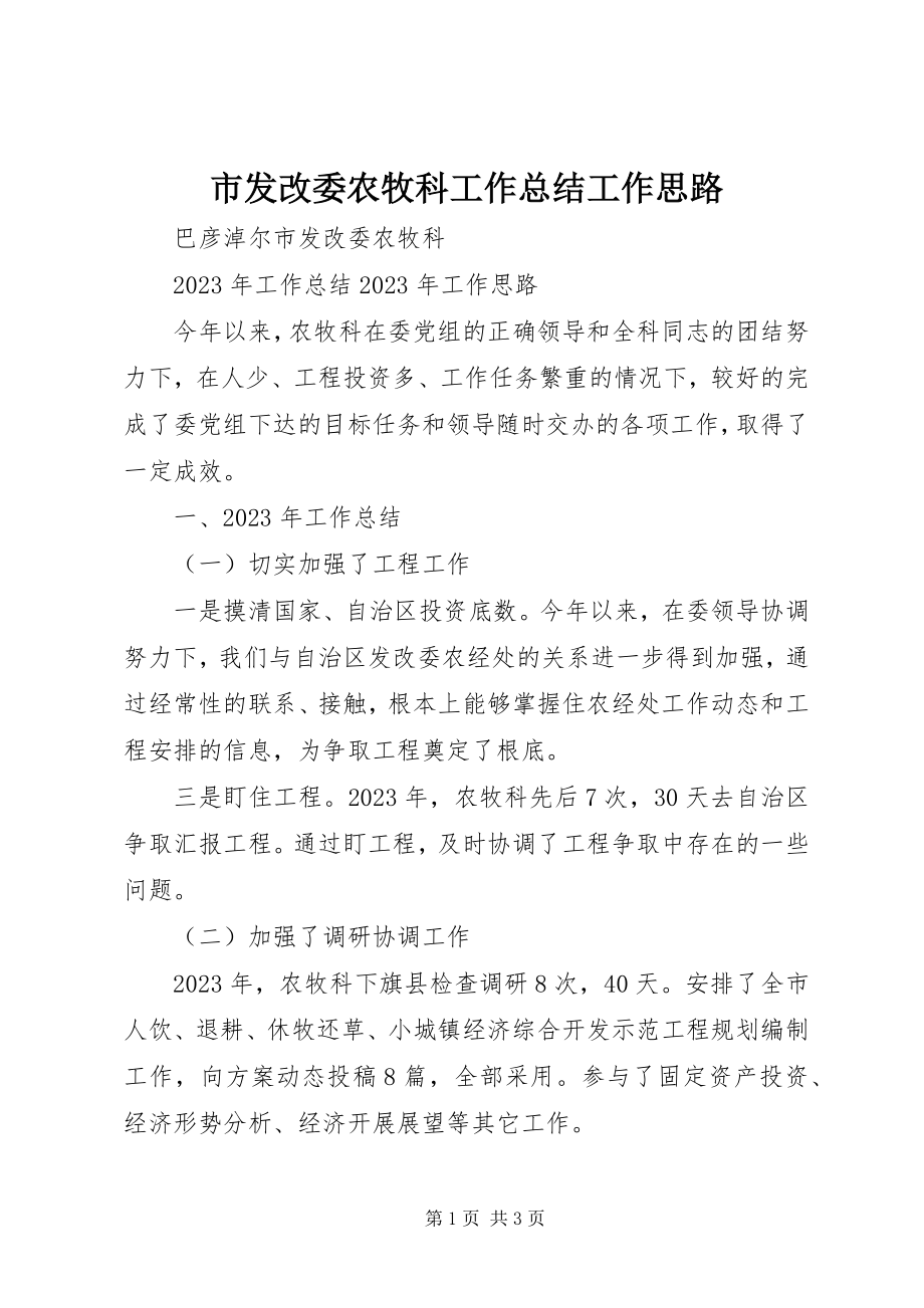 2023年市发改委农牧科工作总结工作思路.docx_第1页