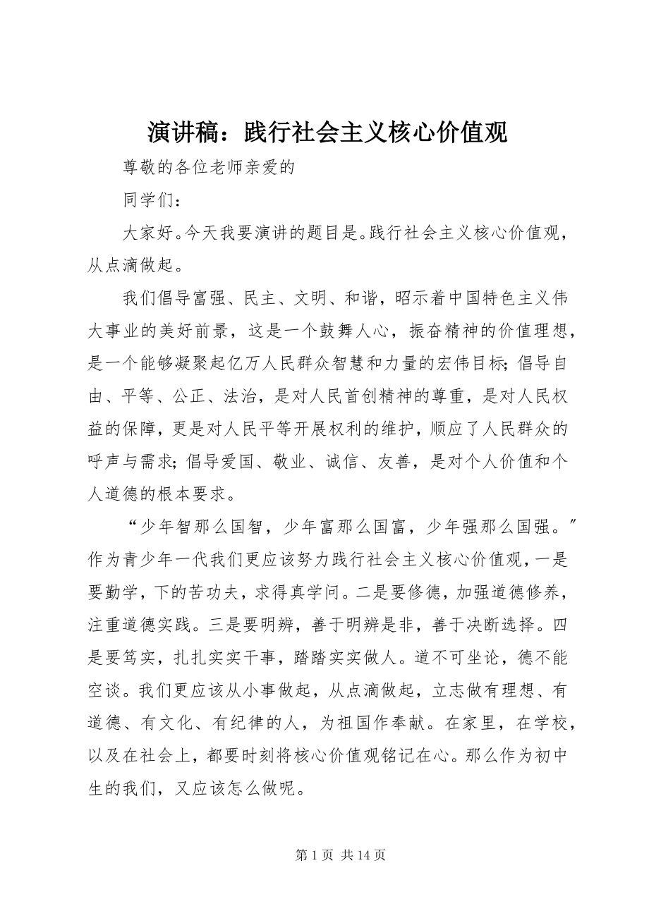 2023年演讲稿践行社会主义核心价值观.docx_第1页